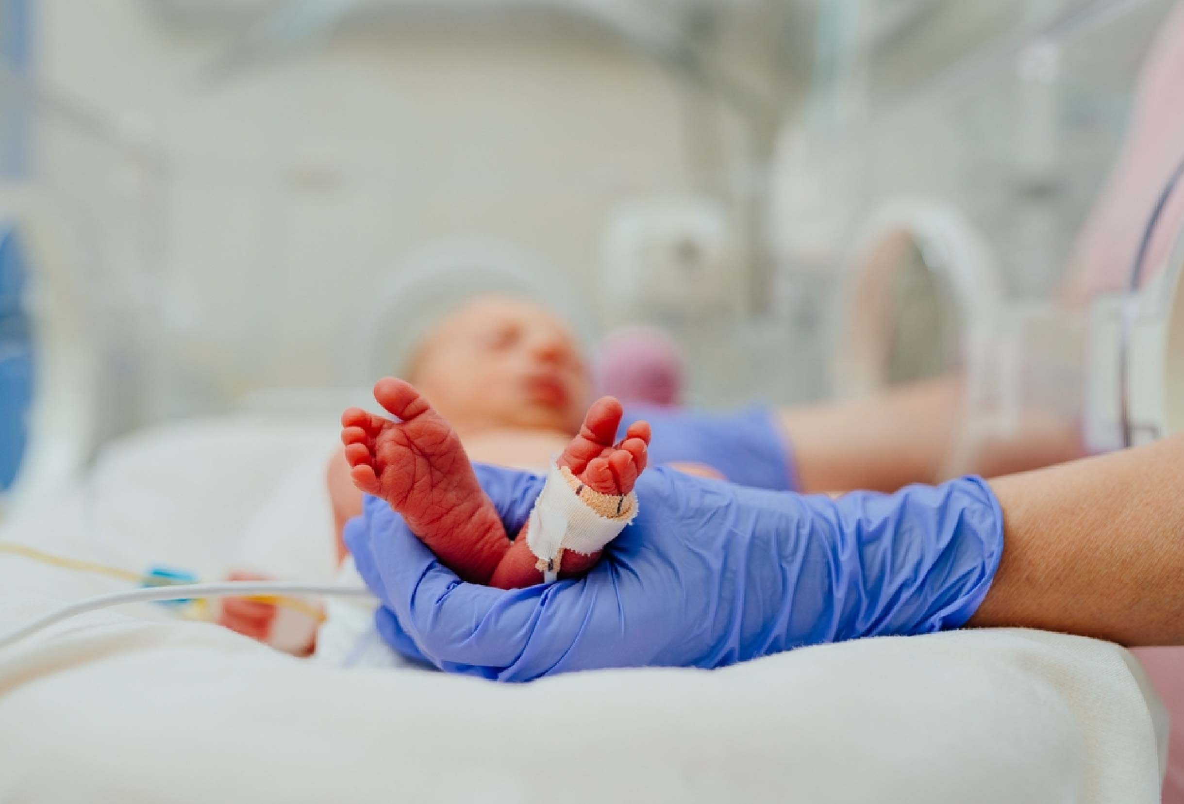 Early Intervention Program